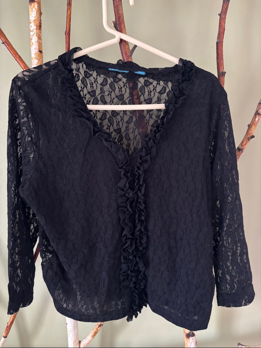 Source Unknown Black Lace Ruffle Front Blouse
